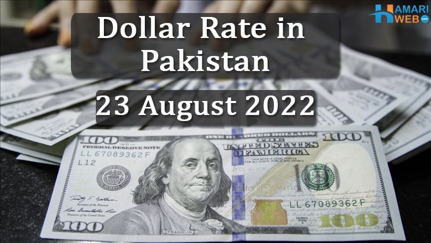 Dollar Rate in Pakistan: USD to PKR Rate Today 23 August 2022