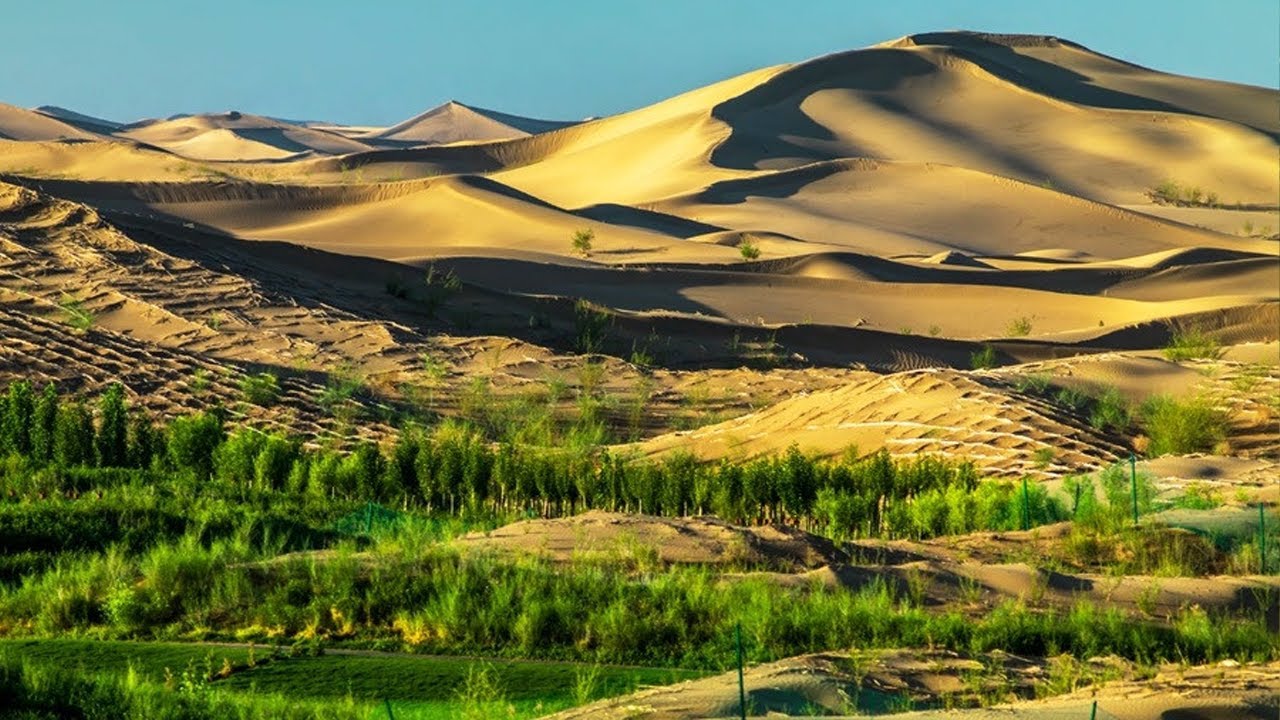 Saudi Arabia to Convert Deserts into Agriculture