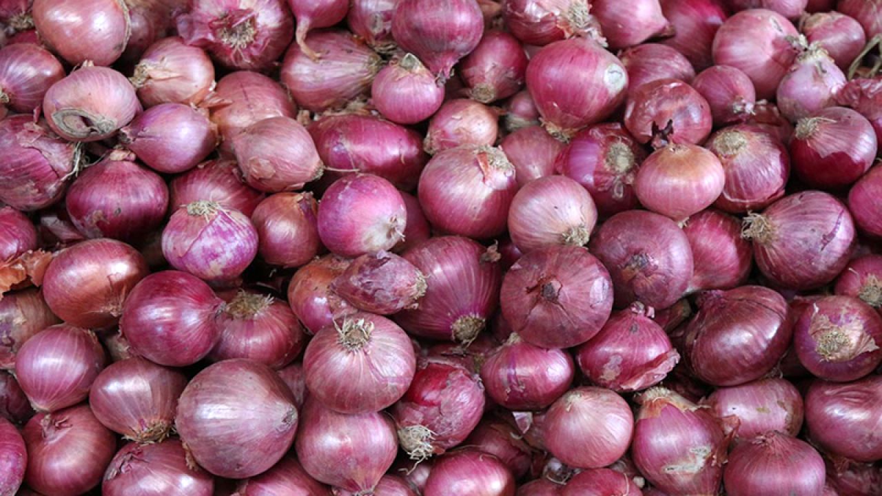 Pakistan to import 13,000 tonne onion production