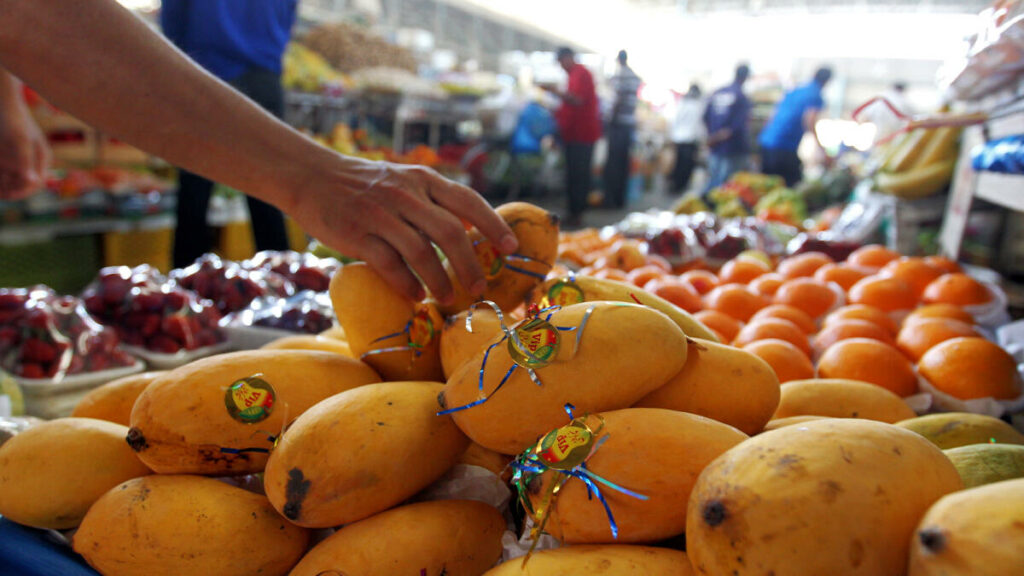 Juicy, Delicious, and Healthy: 5 Incredible Health Benefits of Pakistani Mangoes!