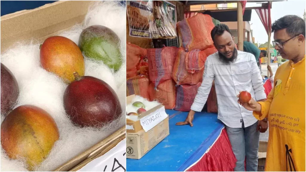 The World’s Most Expensive Mango ‘Miyazaki’ introduced at Siliguri’s Mango festival