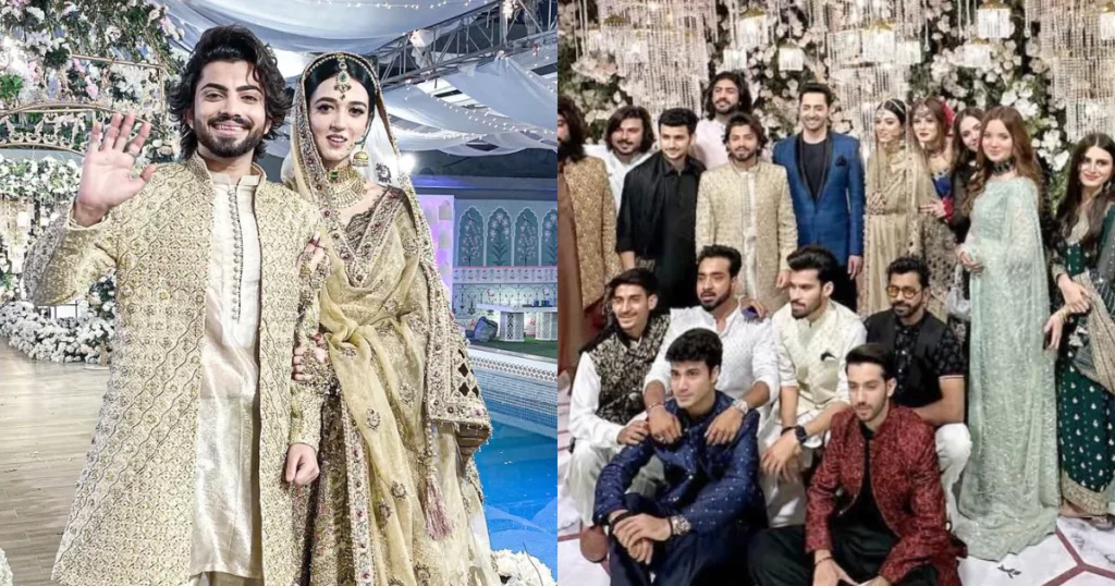 Is Danish Taimoor Ultimate Love Guru for Pakistani TikTokers?