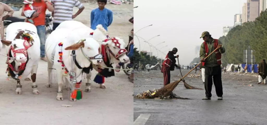 Eid ul-Adha 2023 Cleaning Tips: Tidying Up Roads and Homes After Qurbani