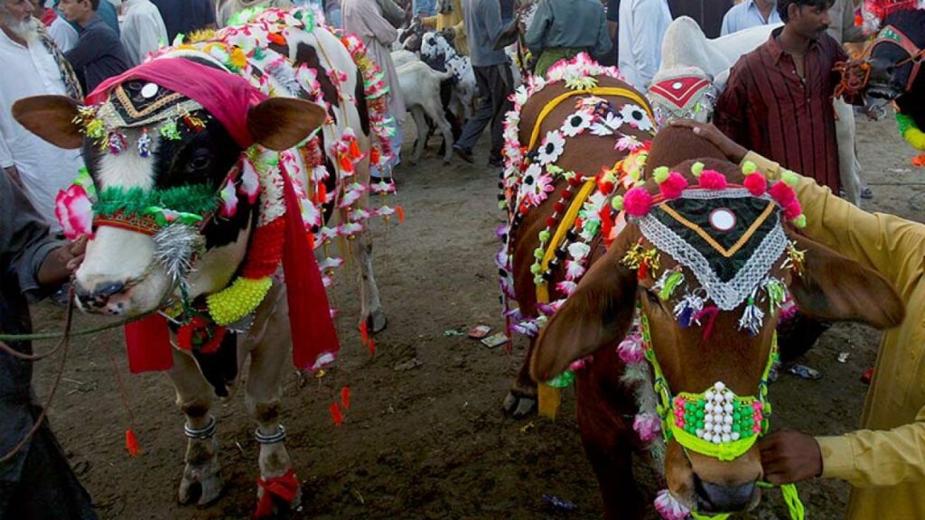 Eid ul Adha 2023 Holidays Pakistan: Not a day off on Hajj day as per the latest reports