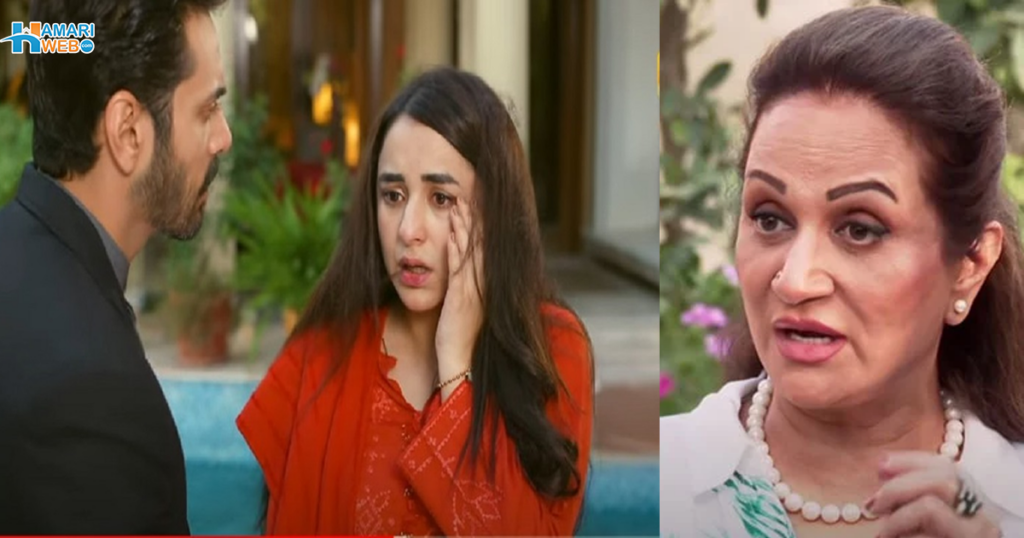 Yumna Zaidi and Wahaj Ali’s On-Set Clash on “Tere Bin” Set