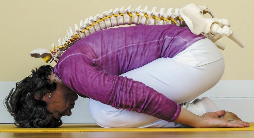 Harvard Study Finds Sujood Posture Effective in Relieving Back Pain