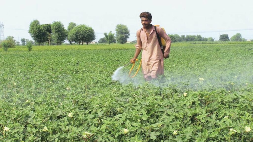 Agricultural Income in Pakistan Now Tax-Free, Confirmed by FBR