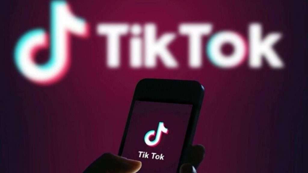 TikTok Deploys AI and Fact-Checkers to Combat Misinformation about Pakistan Election 2024