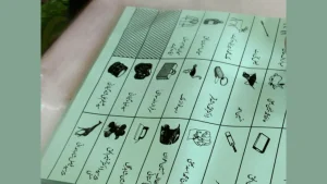 Pakistan Election 2024: Check Your Registration & Download Voter Slip Now!