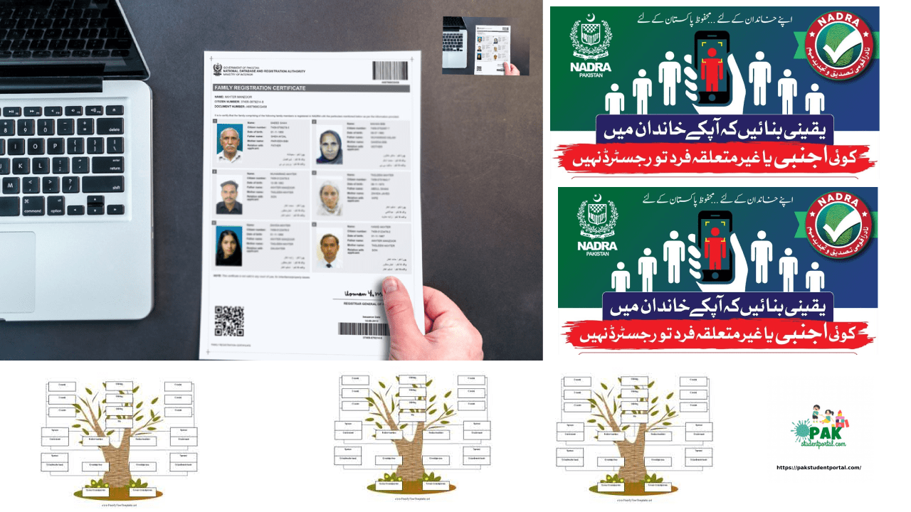 NADRA FRC Online Application: Categories and Documents