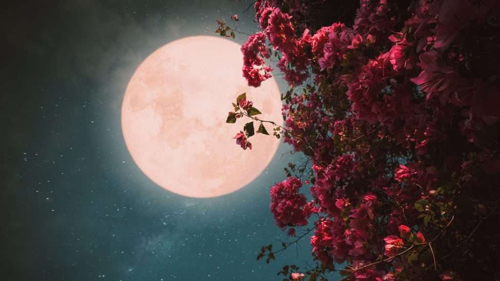 Pink Moon 2024: When and Where to See the Brightest Full Moon of the Year