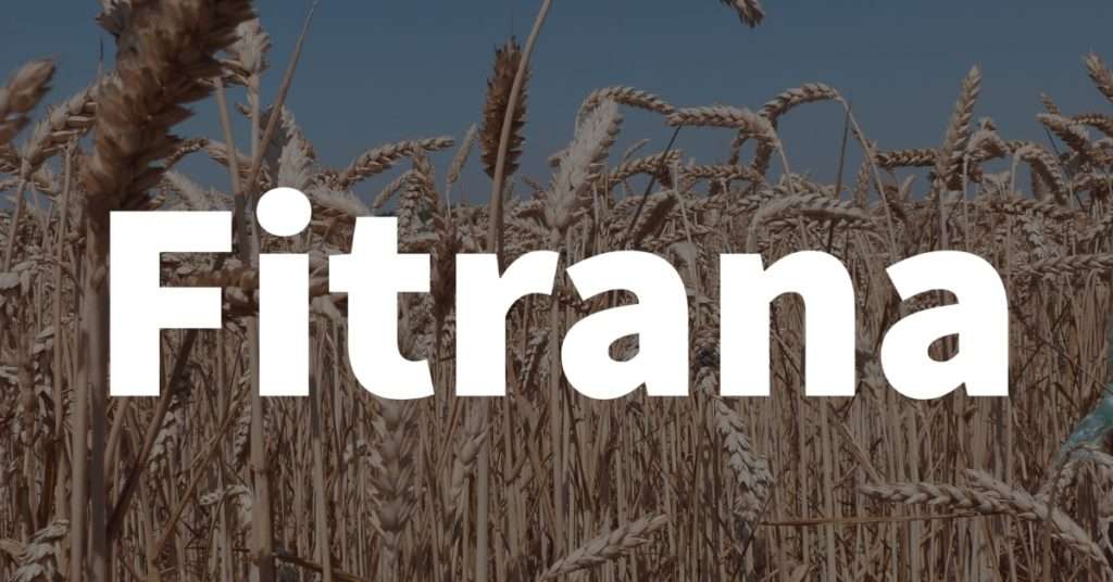 Fitrana Amount 2024 Pakistan: Zakat & Fidya Rates Explained