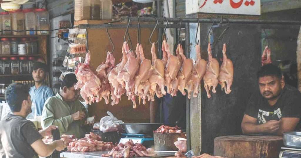 Broiler Chicken Prices Drop in Pakistan – Relief for Consumers!