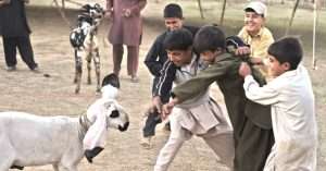 Eid al-Adha 2024 in Pakistan: Expected Date and Celebrations