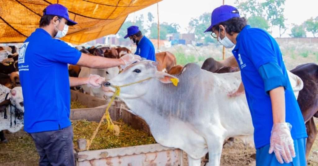 Alkhidmat Qurbani Hissa 2024: Prices, Booking and Donation Details