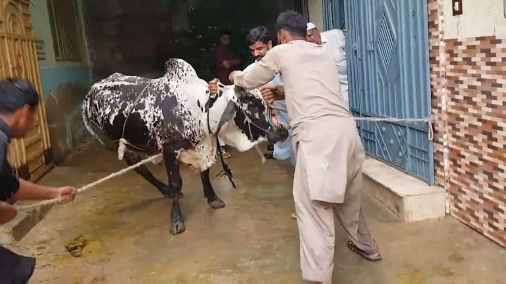 Qasai Rates in Karachi for Eidul Adha 2024: A Comprehensive Guide