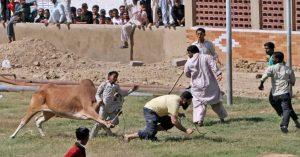 Qasai Booking & Services in Karachi for Eid ul Adha 2024