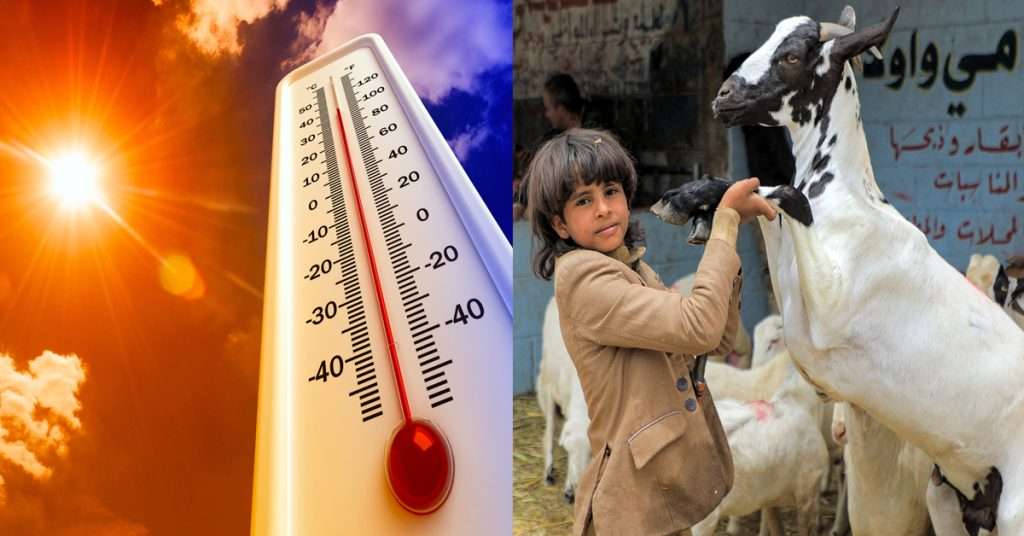 Karachi Weather on Eid ul Adha 2024: Hot Conditions Expected for All Three Days
