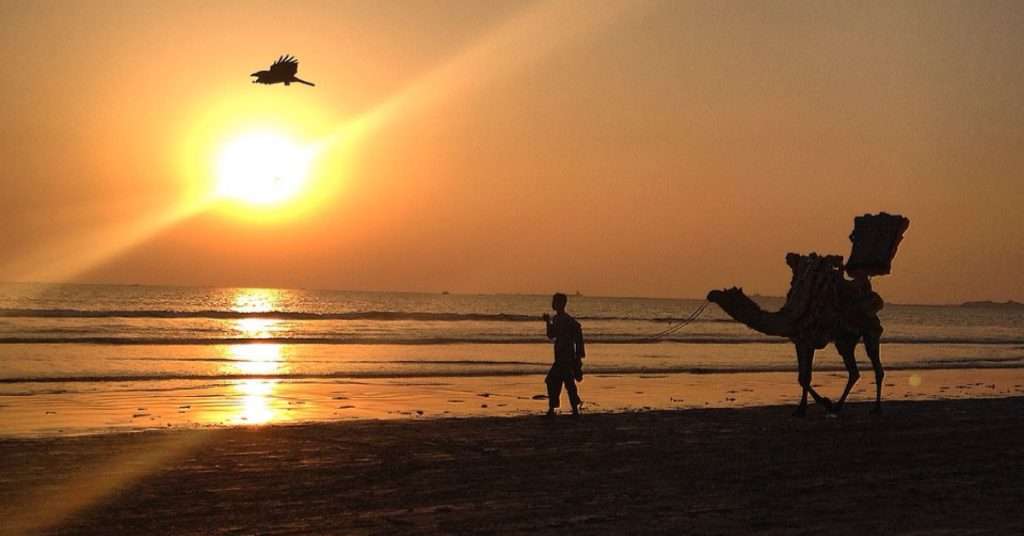 When is the Longest Day and Shortest Night in Pakistan in 2024?