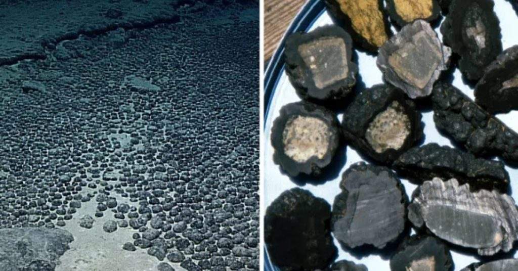 Mysterious Deep Ocean Dark Oxygen Found 13,000 Feet Below Pacific Ocean!