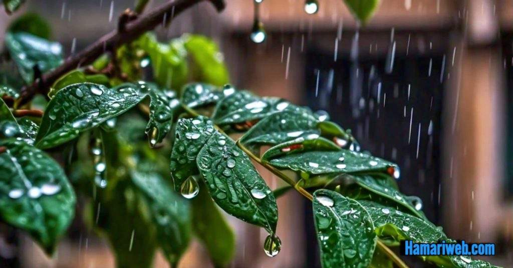 Weather Today: Rain Situation in Karachi on 31st July, 2024