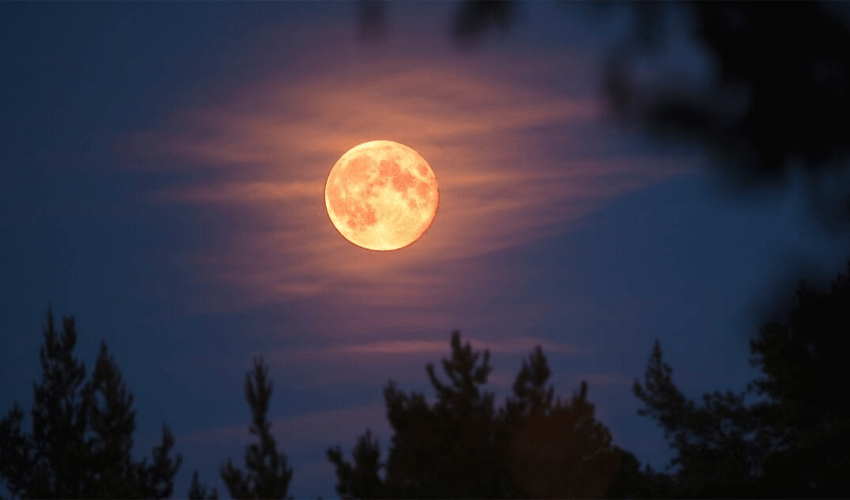 Super Moon to Light Up the Sky on Monday: How to Witness Event?