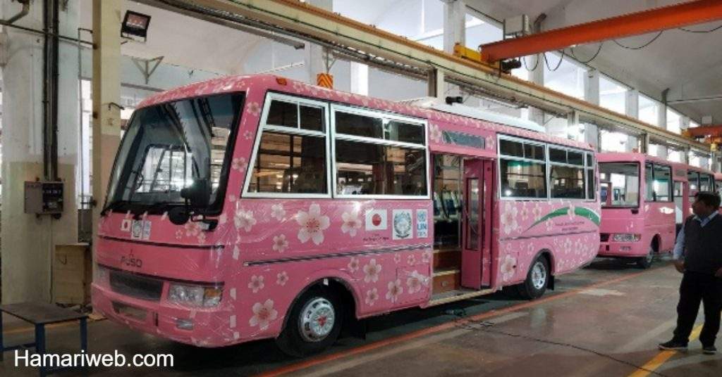 New Free-of-Cost Pink Bus Service for Women Coming to Islamabad: Check Launch Date!