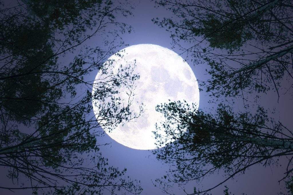 Pakistan to Witness Rare Super Blue Moon on August 19, 2024