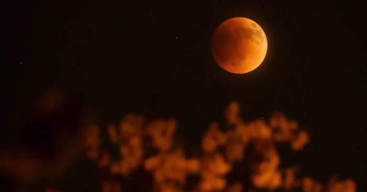 Lunar Eclipse (2024 September) Date, Time, and Visibility