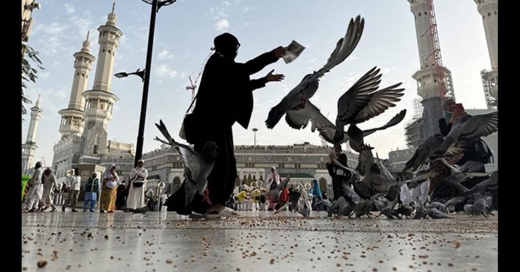 Hajj 2025 Cost in Pakistan Reduced by 50$: Read Details!