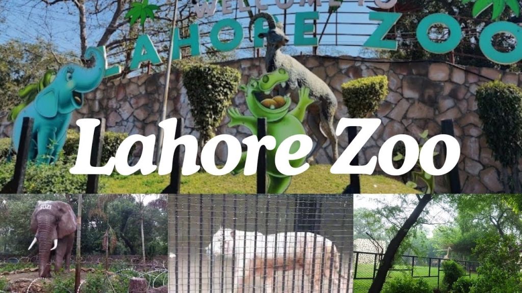 Lahore Zoo Ticket Price increased: New Price is Rs 300