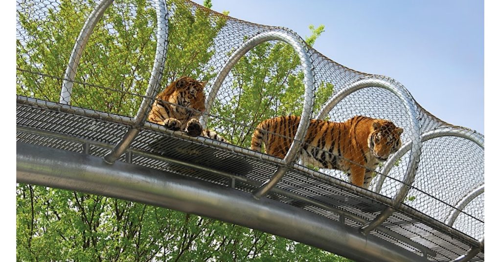Lahore Zoo’s New Private Management Increases Entry Fee, Sparking Protests from Visitors