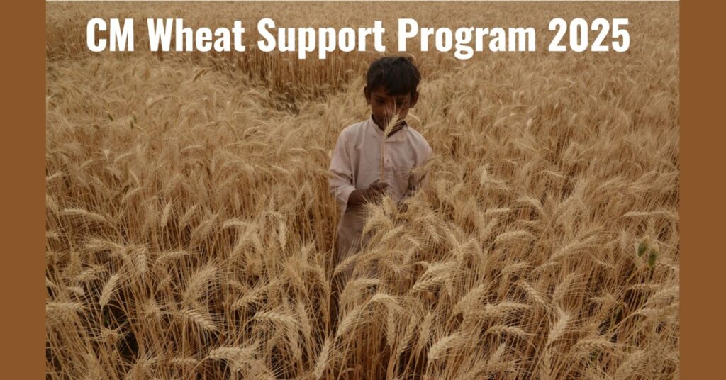 CM Wheat Support Program 2025: Eligibility, Benefits, Last Date to Apply & Latest Updates