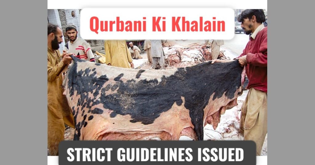 Who Can Collect Qurbani ki Khalen (Sacrificial Animals Hides) This Eid-ul-Adha 2025? Sindh Govt. Announces Strict Guidelines
