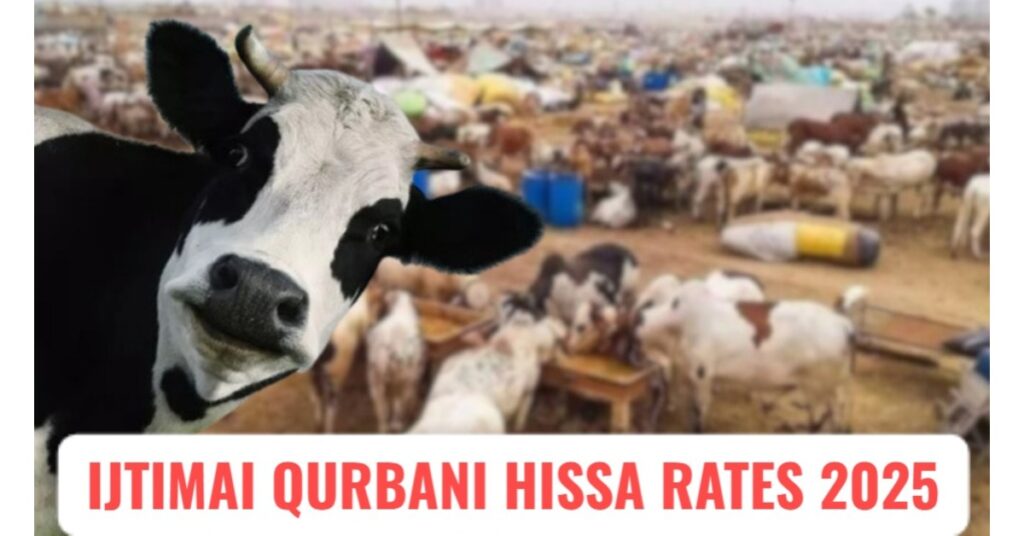 Ijtimai Qurbani Hissa 2025: Latest Prices, Shares & Booking Details for Eid ul Azha 2025 in Pakistan