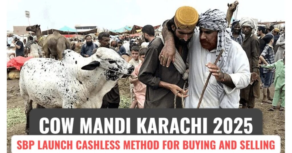 Karachi Cattle Mandi 2025: SBP Launches Cashless Payment System for Buying and Selling Animals This Eid ul Adha
