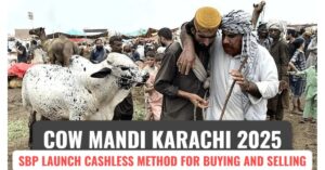 Karachi Cattle Mandi 2025: SBP Launches Cashless Payment System for Buying and Selling Animals This Eid ul Adha