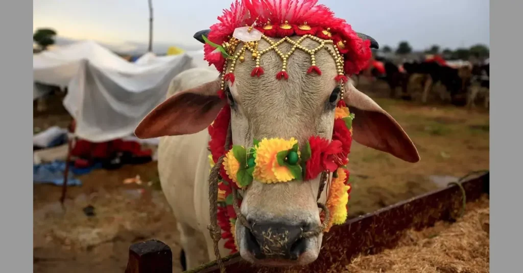 Eid ul Adha 2025 Pakistan: Moon Sighting Committee To Sit On May 27