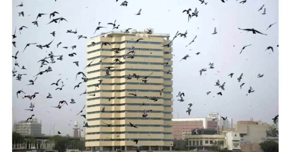 Karachi Weather Update: Temperature Today Expected to Reach 37°C with High Humidity and Strong Winds