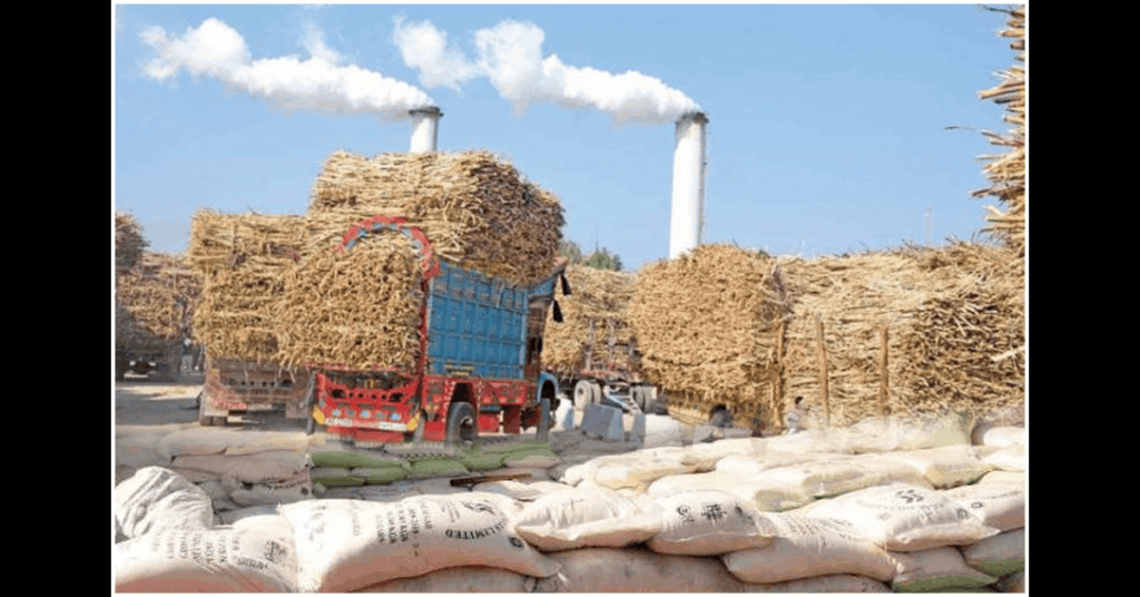 Why Is Pakistan Importing Sugar Again? 500,000-Tonne Approval Raises Sugar Mafia Debate