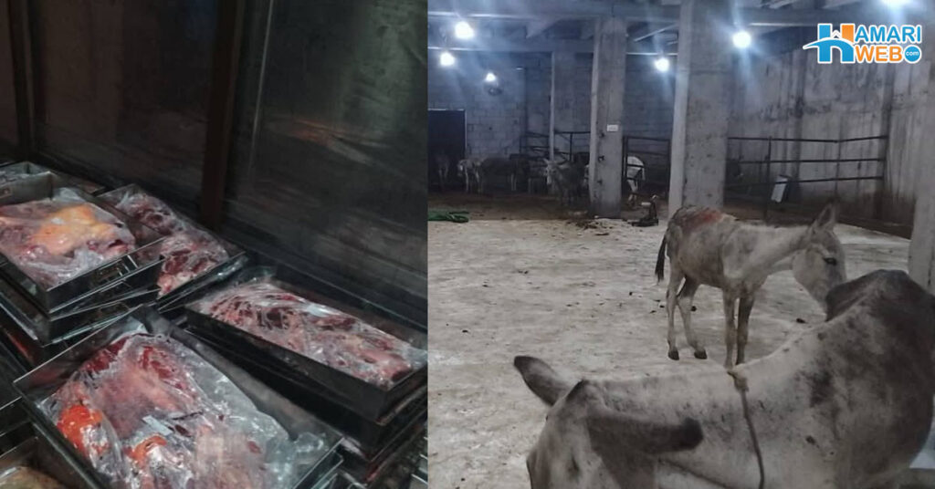 Donkey Meat Recovered from Islamabad: 1,000 kg Seized in Raid, Chinese National Arrested