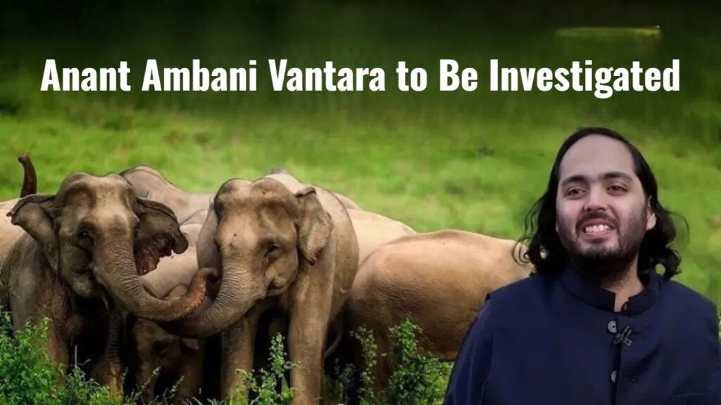 Anant Ambani Zoo Investigation: Supreme Court Orders Probe into Vantara