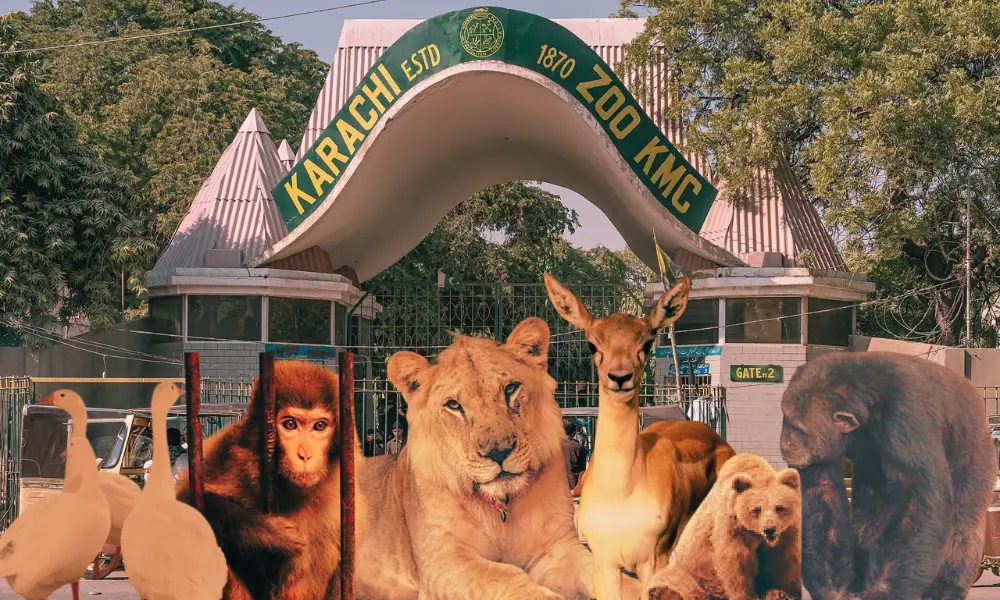 Karachi Zoo Might Face Closure Amid Worsening Animal Conditions After Rano Bear Relocation