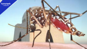 Karachi Dengue Alert: How to Protect Yourself and Avoid Testing Positive