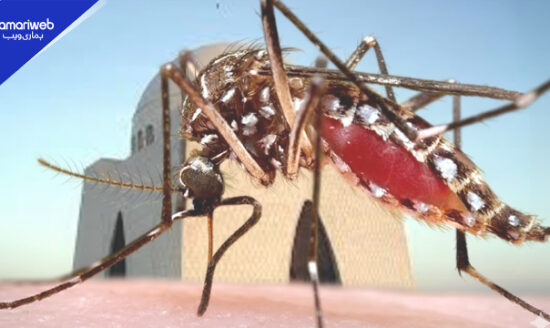 Karachi Dengue Alert: How to Protect Yourself and Avoid Testing Positive