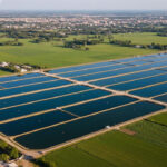 Punjab Announces New Fish Farms and First Fish Market to Grow Aqua Sector