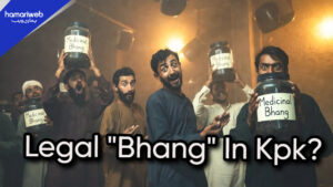 Bhang is Legal Now! KPK Considering Legalizing Cannabis for Medical Purposes