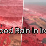 Iran’s Hormuz Island Turned Red After Heavy Rain, ‘Blood Rain’ Videos Go Viral