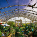 Karachi to Get City’s Largest Bird Aviary — Location & Details