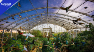 Karachi to Get City’s Largest Bird Aviary — Location & Details